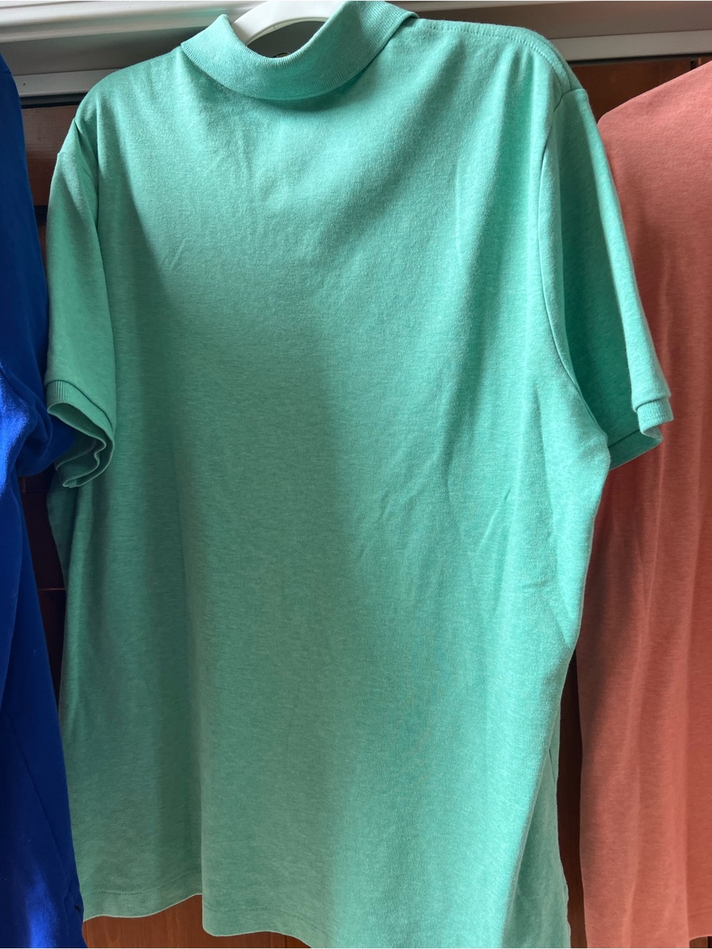 Ralph Lauren Mint Green Polo Shirt with Embroidered Pony - Picture 10 of 11